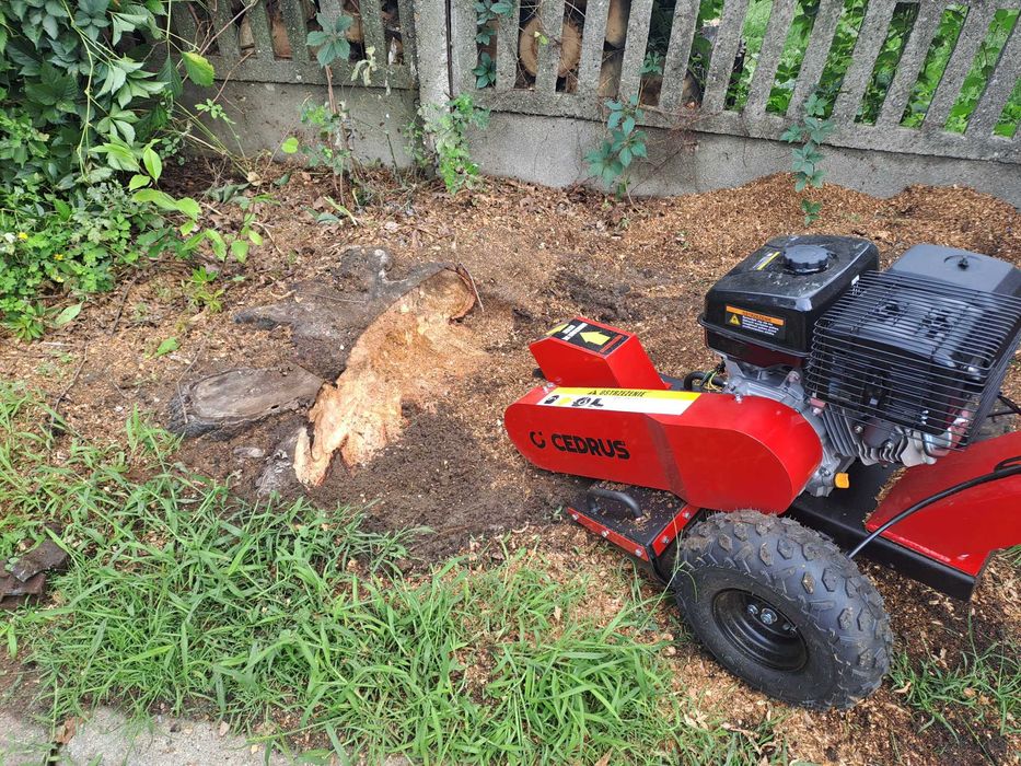 Wycinka drzew i krzewów, usługi rębakiem