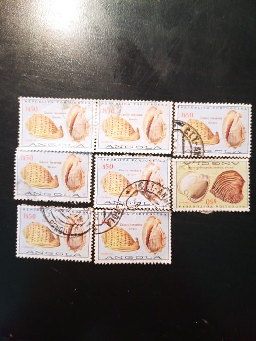 8 selos - Conchas de Angola 1974 - Carimbados. Em excelente estado