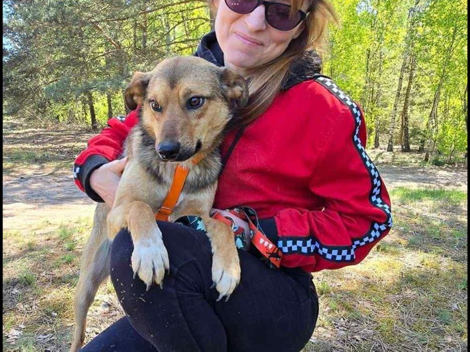 Wystraszony biedaczek ,błaga o dom.