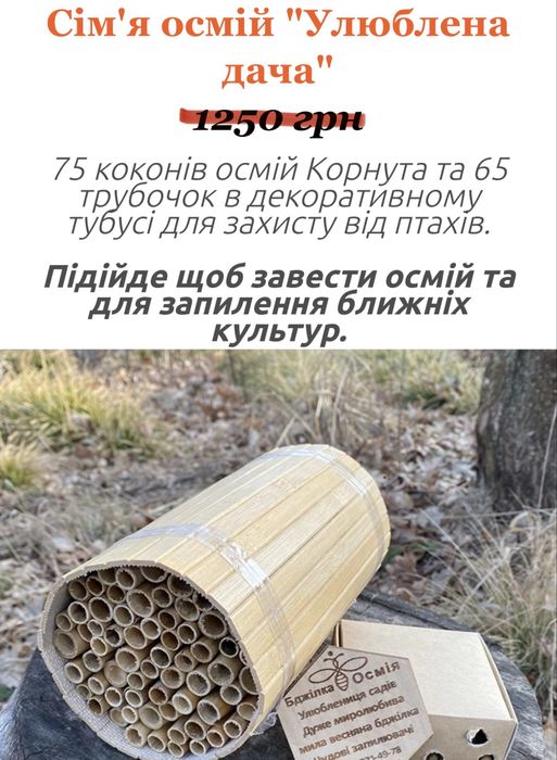 Будиночки для осмій. Кокони Осмій Корнута. Трубочки очеретяні. Осмії