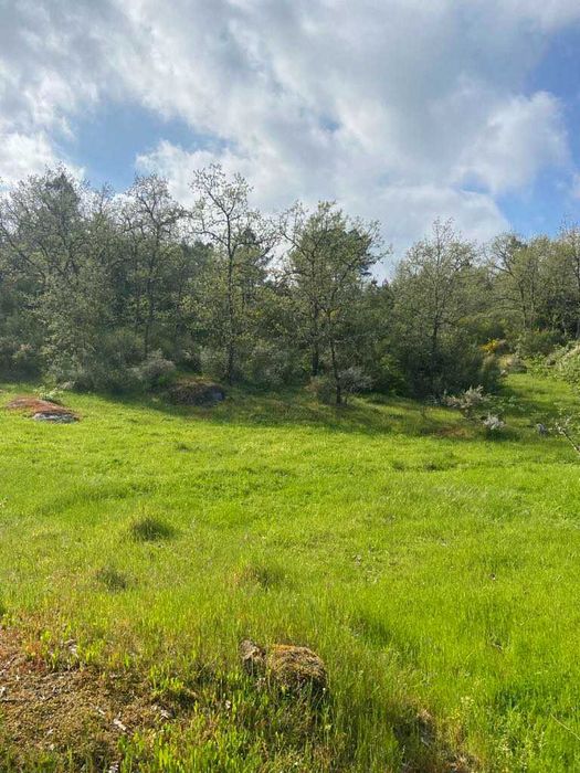 Terreno para venda junto à barragem de Bouça Cova