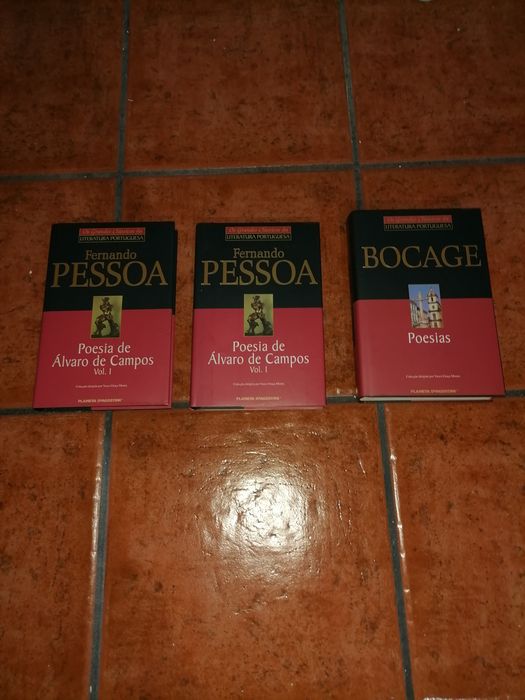 Os grandes clássicos da literatura portuguesa