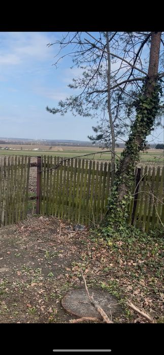 Działka budowlana Mikołów/Bujaków - Widok 4