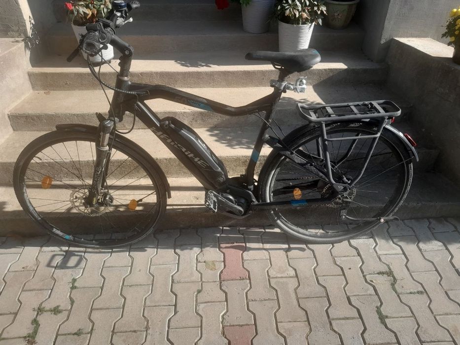 Bergamont на bocsh
