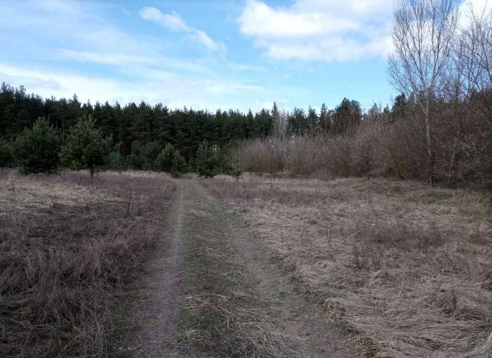 186 соток біля лісу в с .Ст. Петрівці, в 15 км від Києва