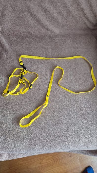 Ошейник для кота