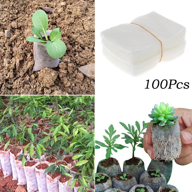 Sacos para plantas