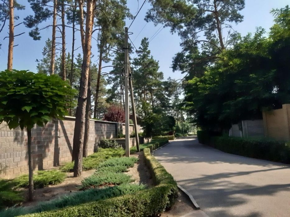 Ділянка  25с. у Піщанці  берег озера та вид на ліс