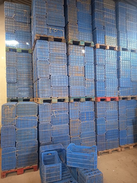 Caixas de plástico