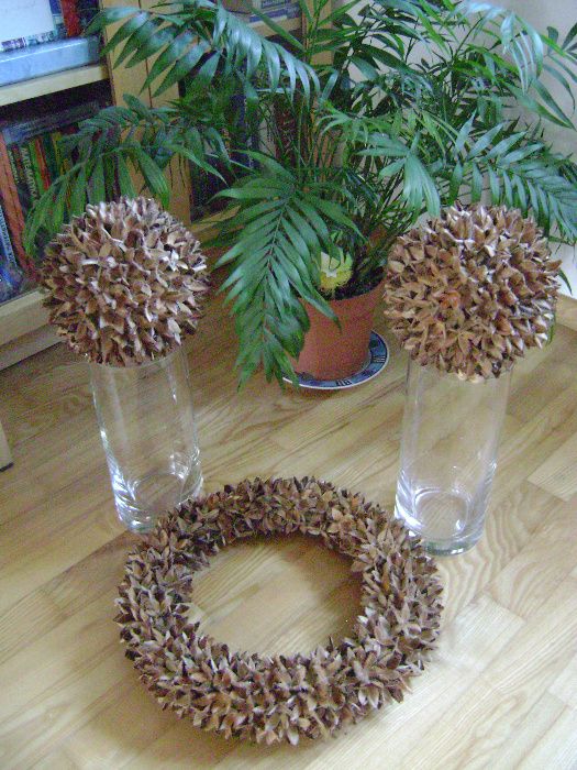 Dwie kule z bukowych orzeszków - EKO