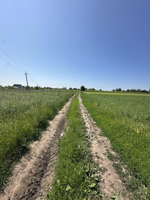 Продаж земельної ділянки с.Кошелів