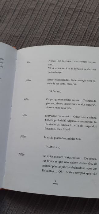 À beira do lago dos encantos de Maria Alberta Menéres