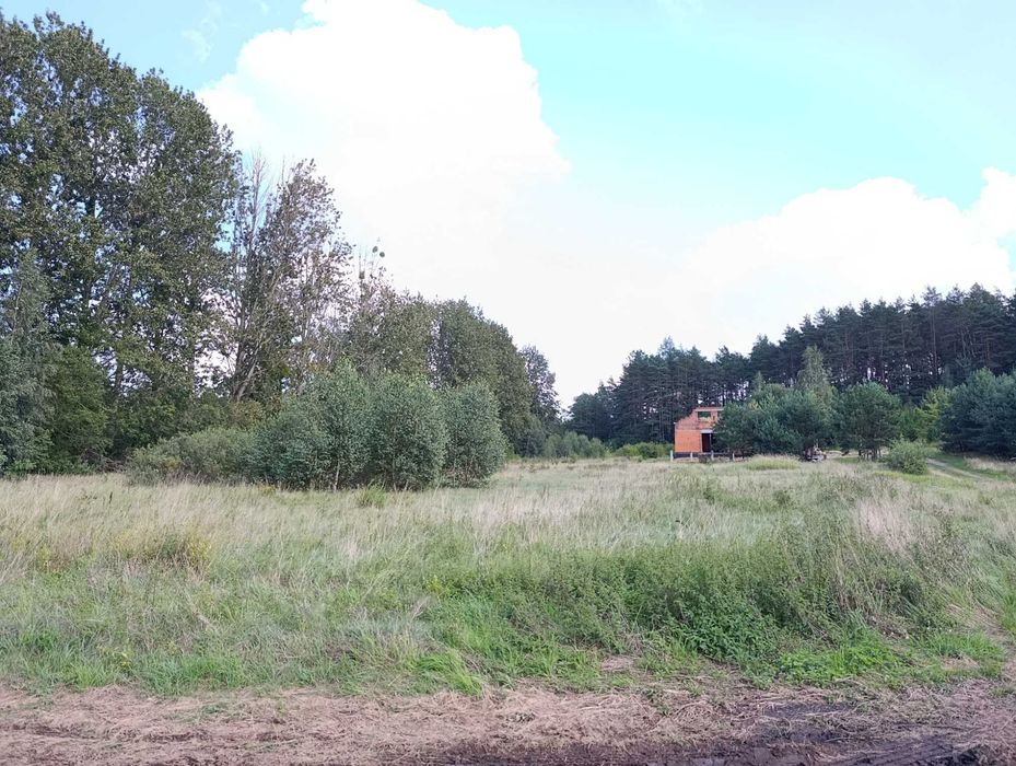 Przetargi na sprzedaż działek budowlanych w Knyszynie - Widok 5