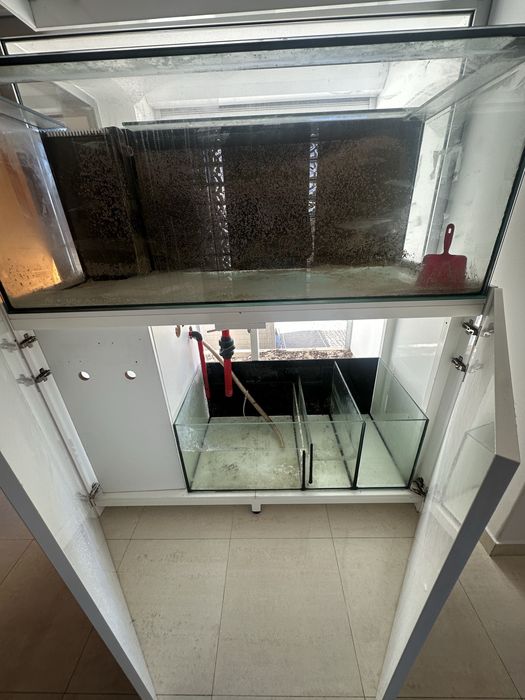 Aquario 600lt com movel