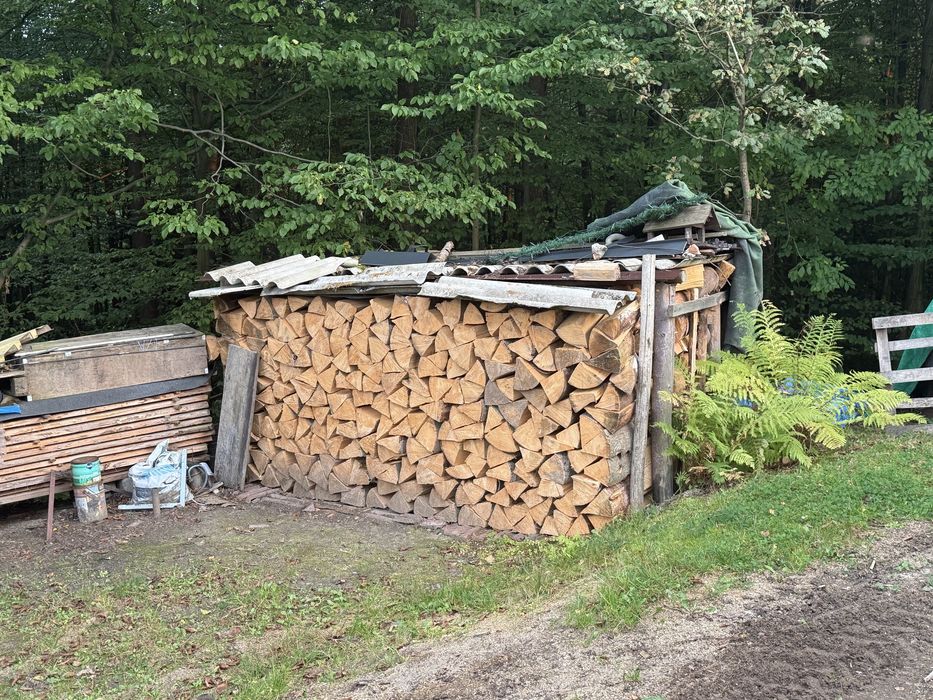 Sprzedam drzewo Sosna, jodła, Olcha , brzoza , dąb