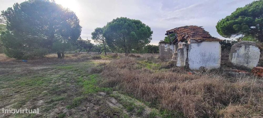 Terreno Misto 4.0 ha, Água Derramada, Grandola