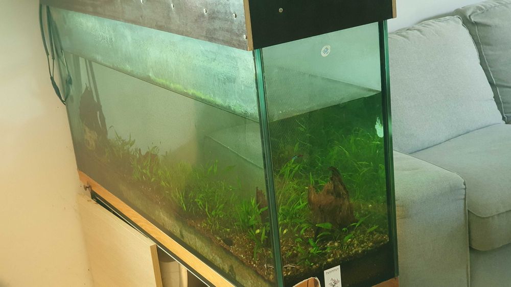 Akwarium oddam za darmo