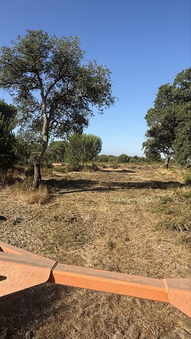 Limpezas de terrenos