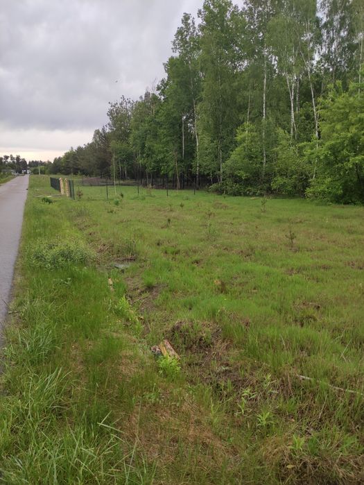 Działki budowlane w Gręzówce