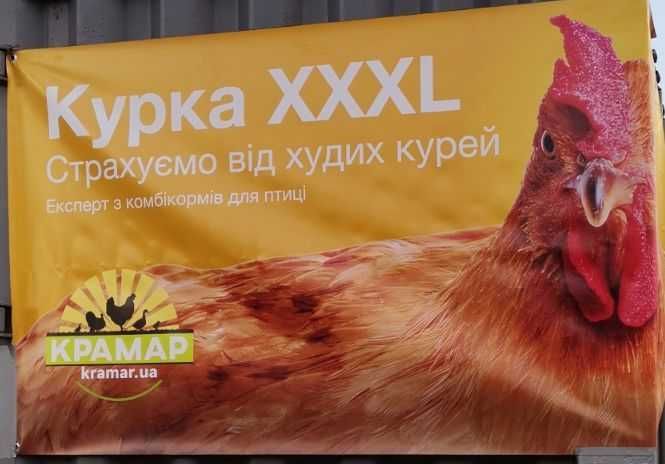 Мулард утка мясная