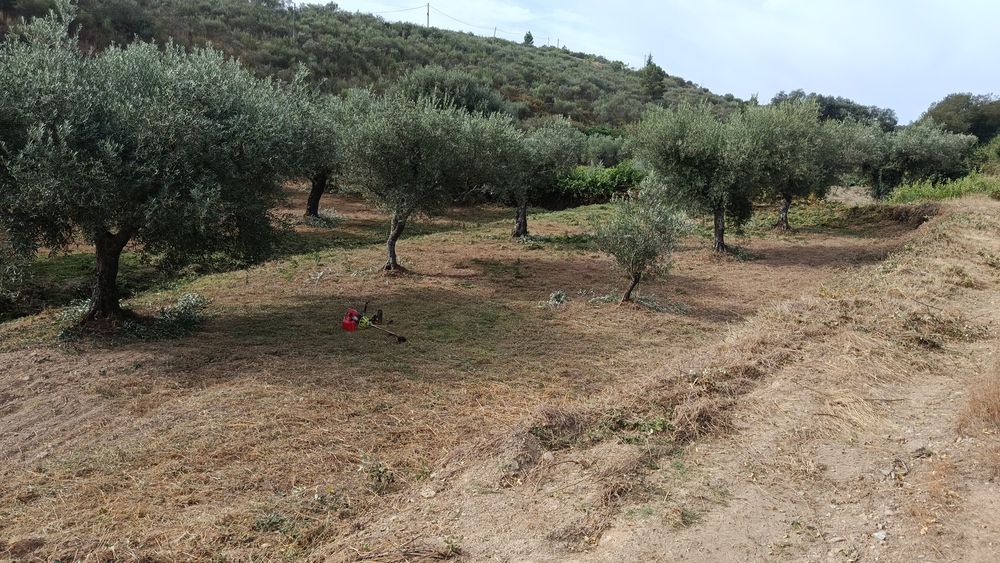 Limpezas de terrenos e caminhos aldeias etc