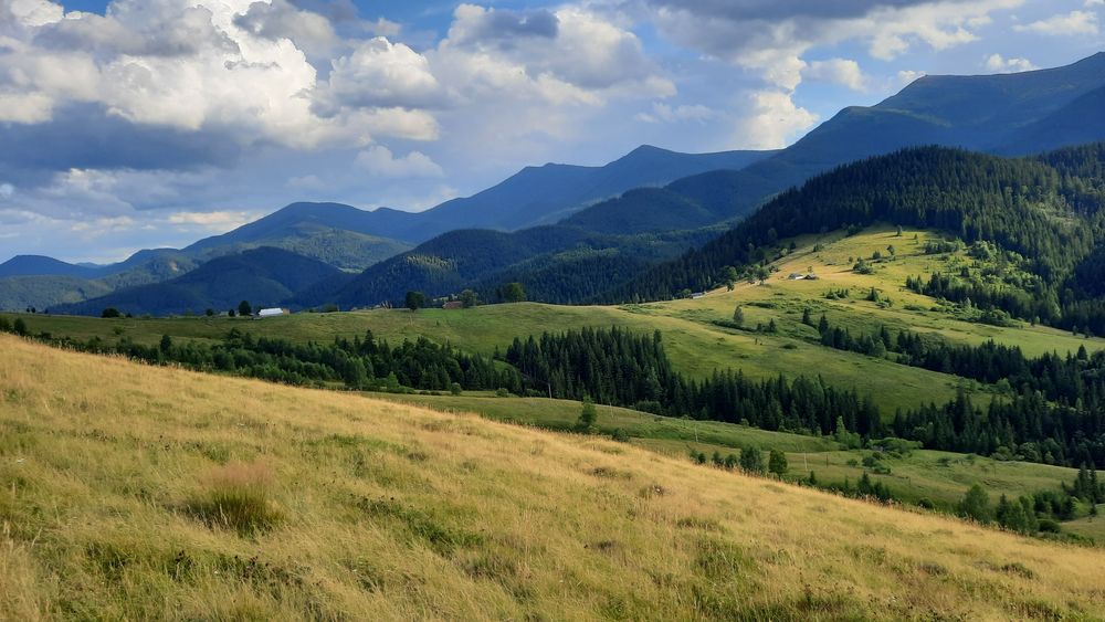 Рівна ділянка, під будову. Межує з лісом. 40 соток в Дземброні
