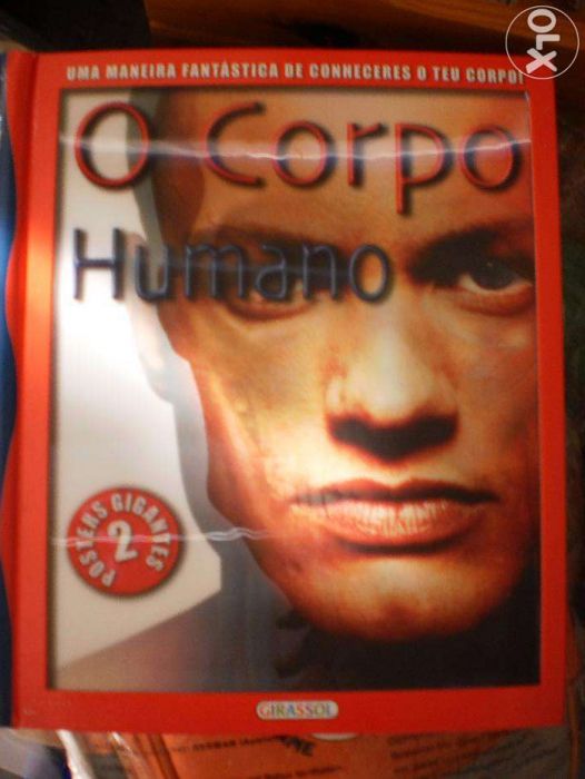 4 Livros Infantis variados