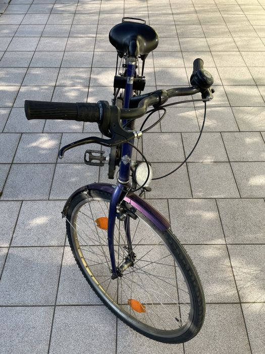 Rower Calypso Hercules