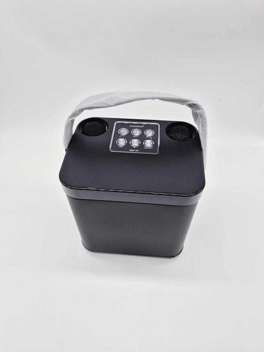 Karaoke przenośny głośnik dwa bezprzewodowe mikrofony