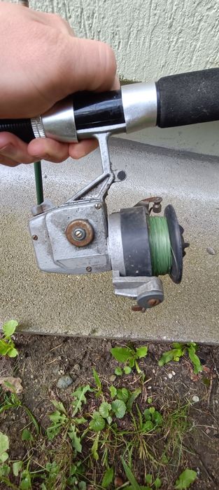 Spinning Germina Standard z kołowrotkiem Delfin