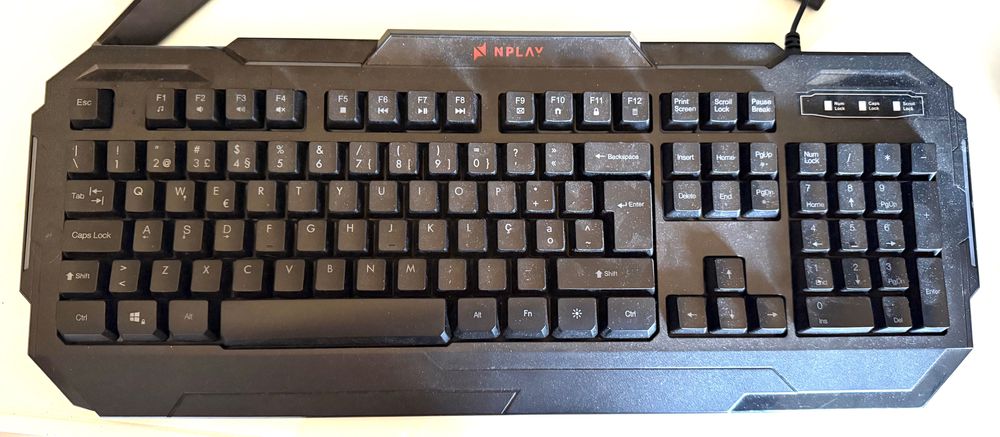 NPLAY Dominate Gaming