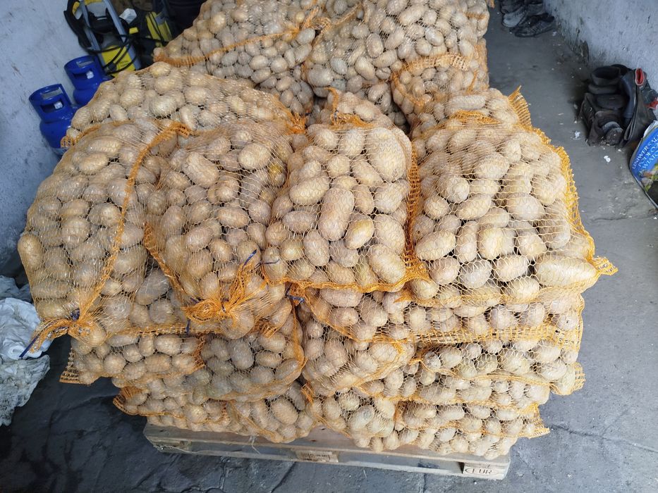 Ziemniaki Jadalne hurt detal dowóz