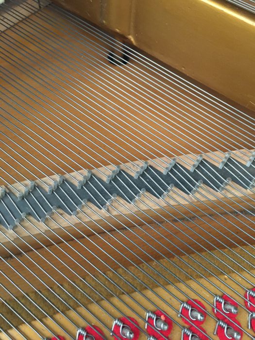 Piano 1/4 cauda Bosendorfer