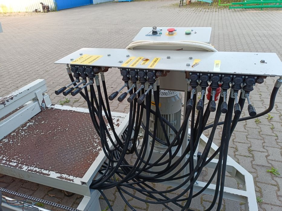 Trak taśmowy lignuma szerokotnący