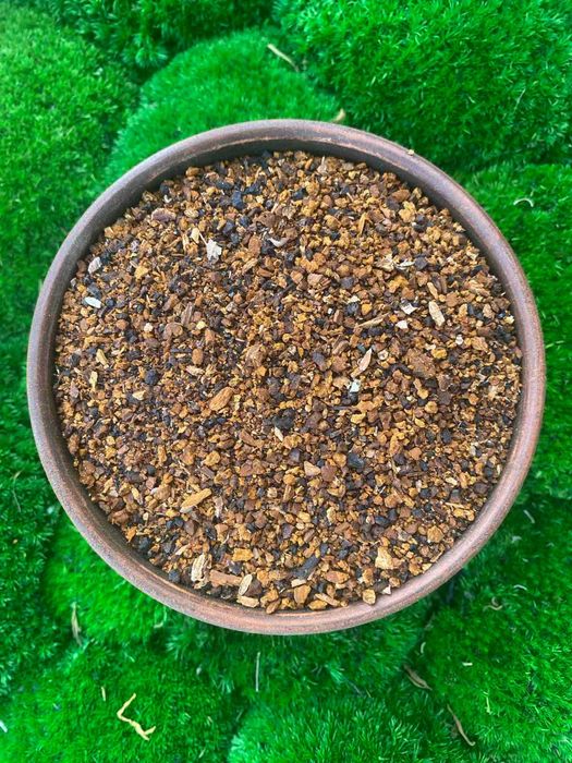 Чага, гриб чага, сушена, березова чага