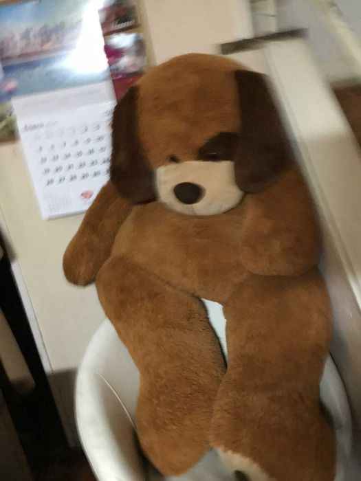 Peluches - cão gigante e joca