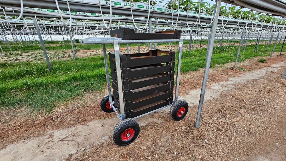 Wózek transportowy OCYNK tunel wózeczki do zbioru truskawki malin owoc