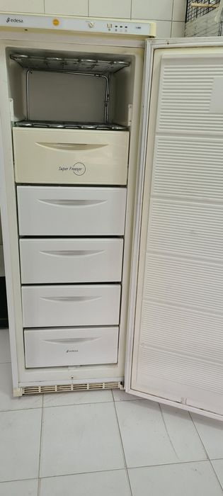 Arca congeladora vertical, marca Edesa