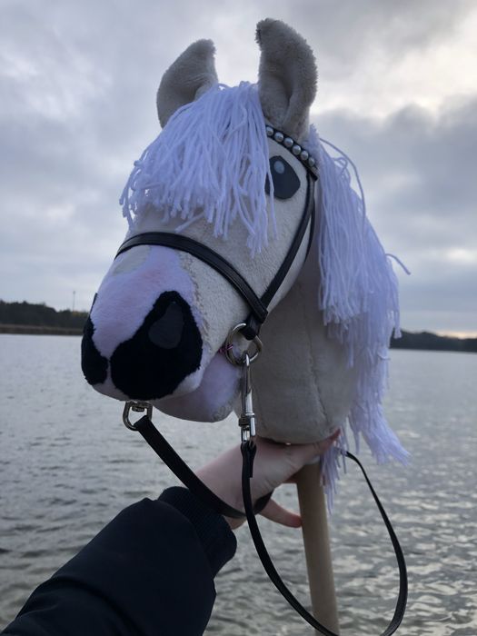 hobby horse(cena do negocjacji)