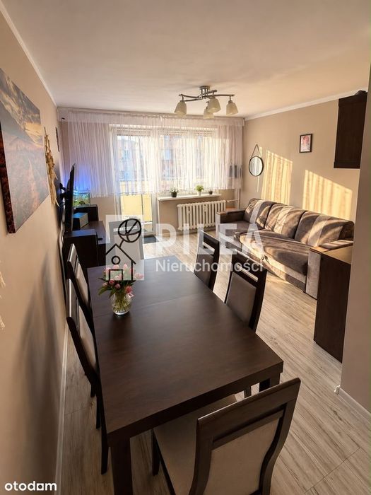 3 Pokoje | 47,44 M² | Kruszwica | Zagople | Bez Prowizji !