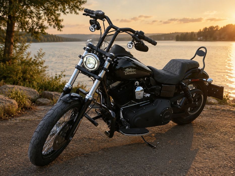 Harley- Davidson Dyna Street Bob