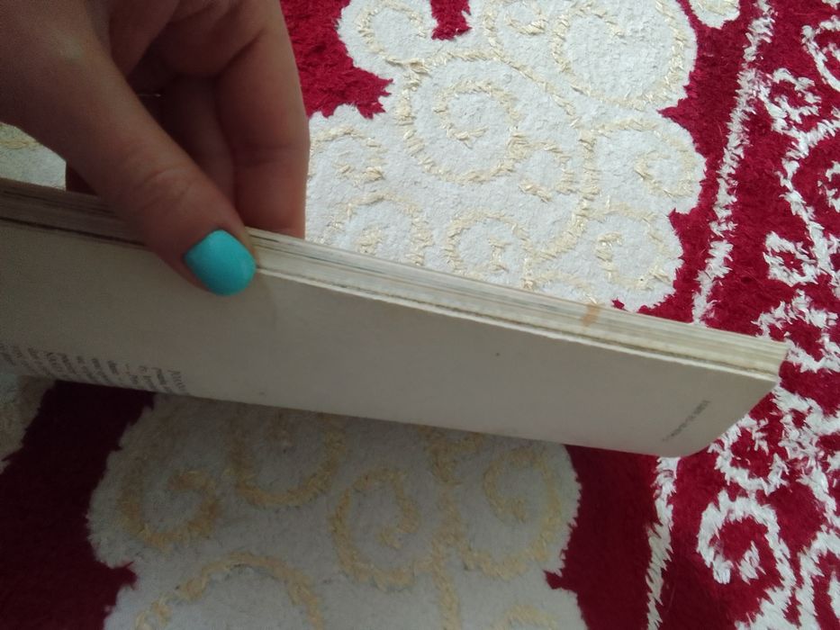 Nasza mama czarodziejka Joanna Papuzińska