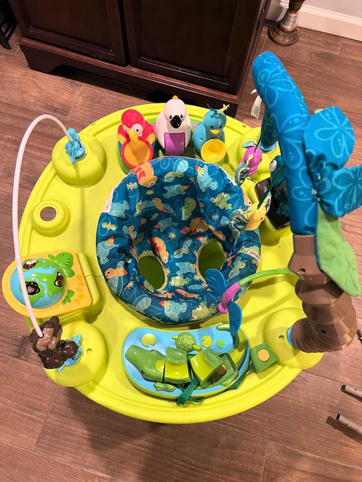 Saltitao Evenflo Zoo- Bom estado