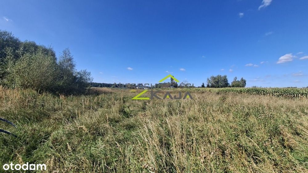 Działka w Zatoniu