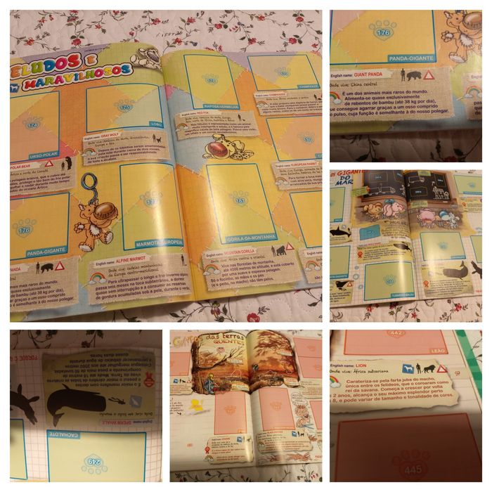 Caderneta Frozen/Ladybug/animaizinhos/patrulha pata