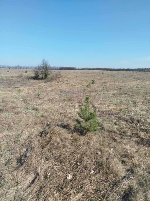 Продам ділянку (8289)