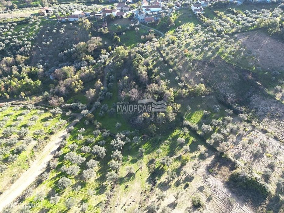 Terreno Agrícola Grijó de Parada