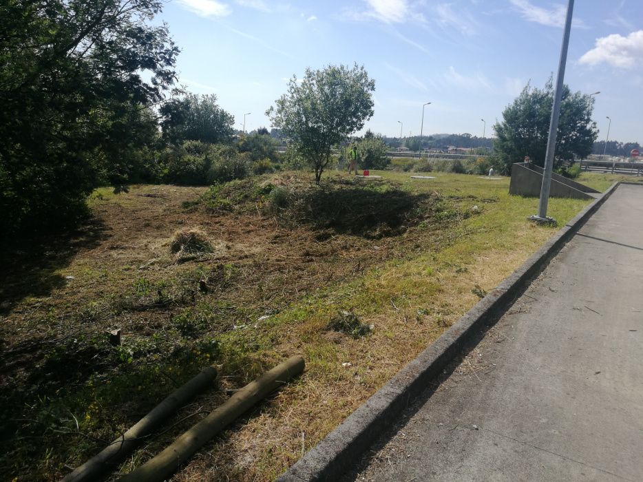 Limpeza terrenos / Áreas verdes zona Norte