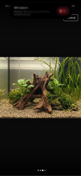 Sprzedam to co na zdjeciu