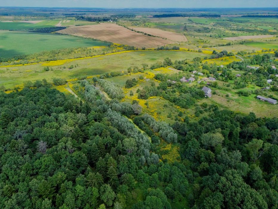 Продаж ділянки 2.1 га. з озерами та приляганням до лісу